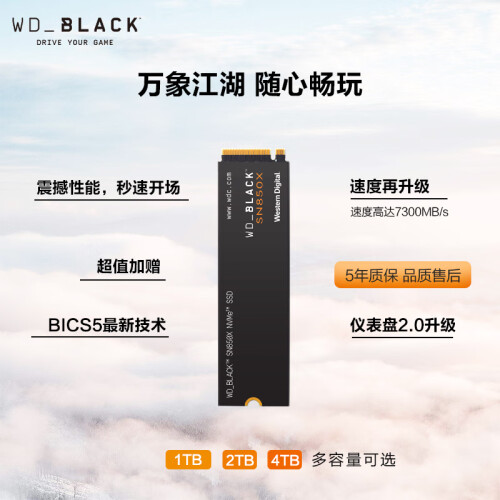 西部数据（WD）4TB大容量 笔记本SSD固态硬盘 M.2 